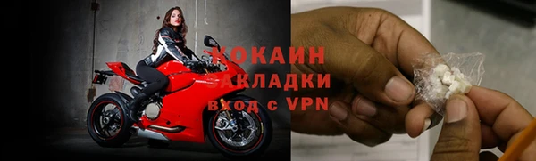 дживик Алзамай