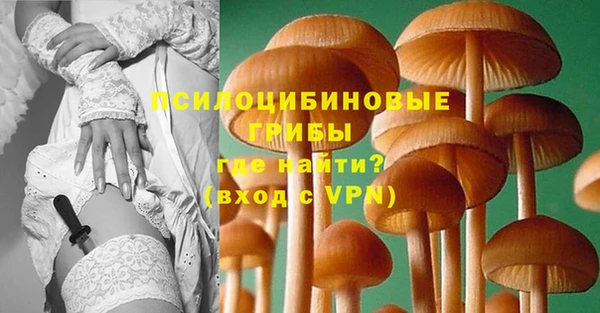стаф Алексеевка