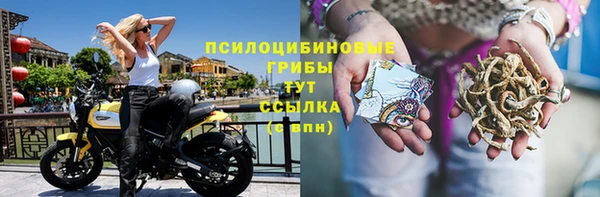 трава Алексин