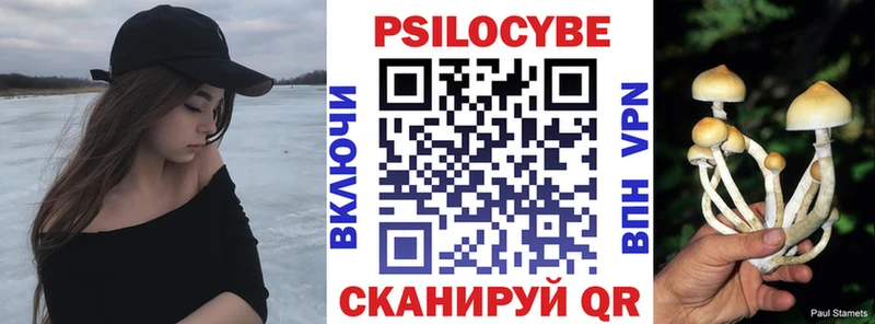 Псилоцибиновые грибы Psilocybe  купить закладку  Кочубеевское 